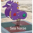 Sea Horse