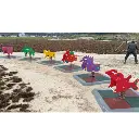 Outdoor Animal Single Spring Rider (Completed Set) (Outdoor Children Sports Playground Parks)
