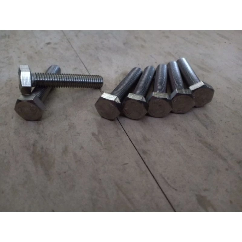M8 M10 SUS 304 Hexagon Bolt / Screw / Stainless Steel Hex Head Screw