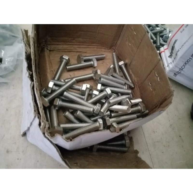 M8 M10 SUS 304 Hexagon Bolt / Screw / Stainless Steel Hex Head Screw